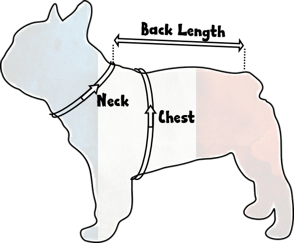 Frenchie Size Guide