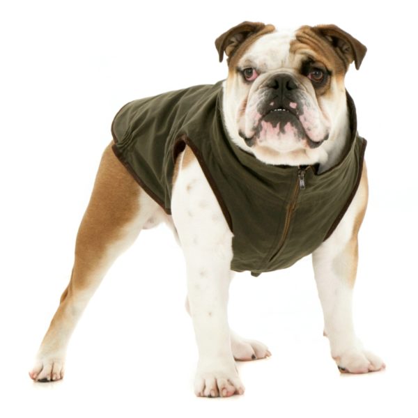 Image Result For French Bulldog Quilt Image Result For French Bulldog Quilt