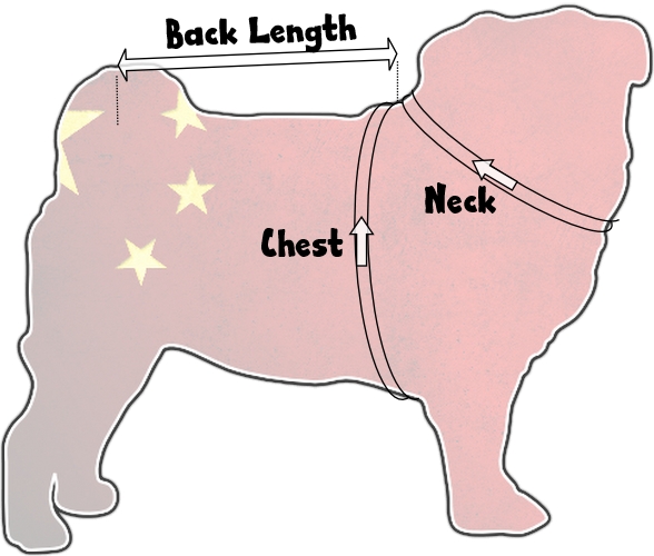 pug size