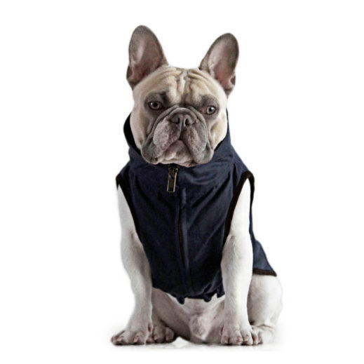 Windsor Jacket for French Bulldog - Navy
