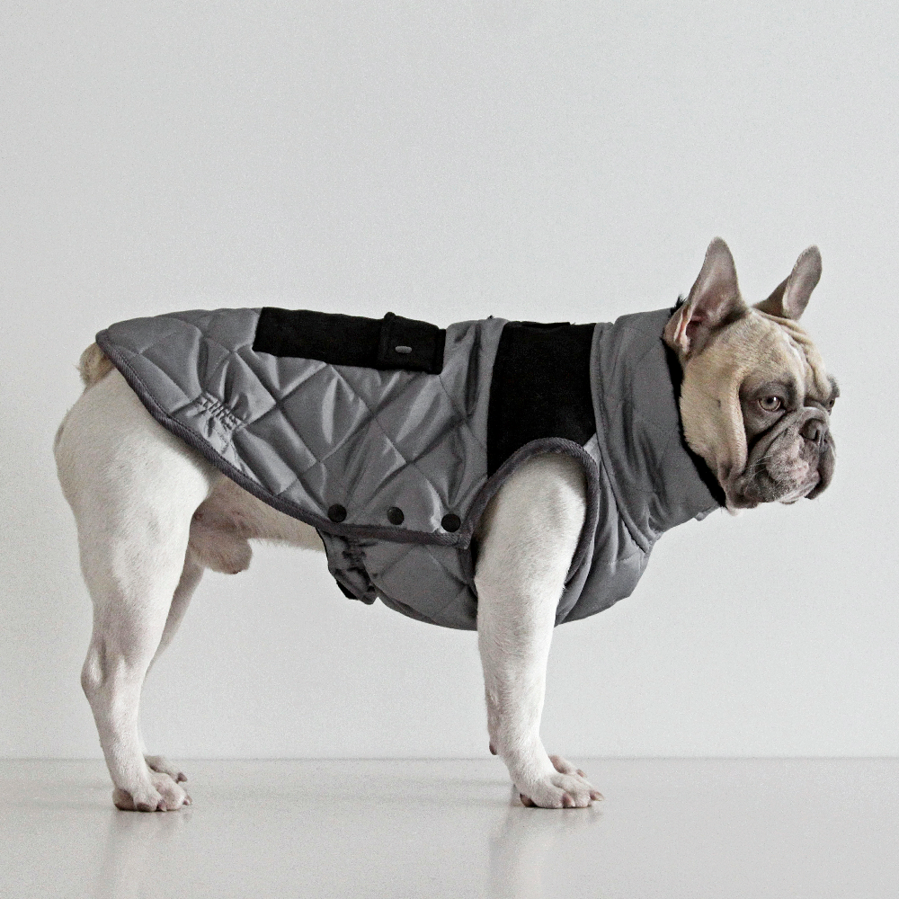 Monaco Coat for French Bulldogs Grey Dogissimo