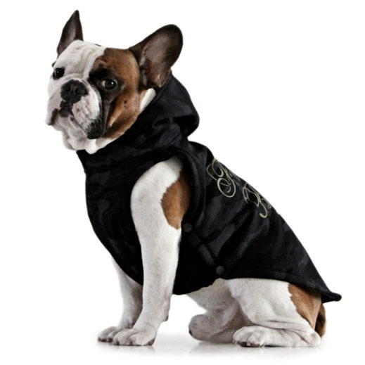 2018 Camo Hoodie for French Bulldogs