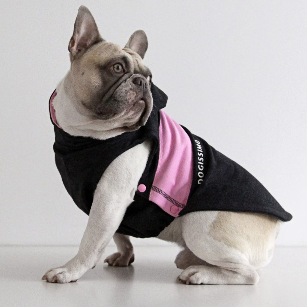 Grey/Pink Chevron Hoodie for French Bulldogs - Dogissimo