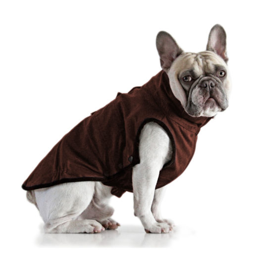 Windsor Jacket for French Bulldog - Deep Red