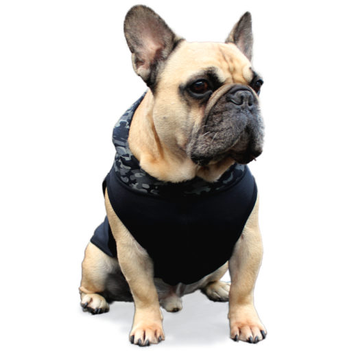 Dogissimo x CatwalkDog 2020 Camo Hoodie for French Bulldogs