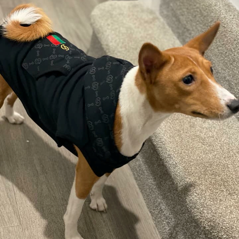 2020 Fashionista Hoodie