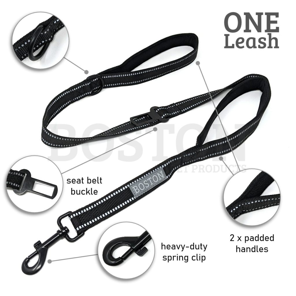 Boston ONE Leash
