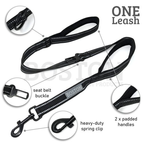 Boston ONE Leash