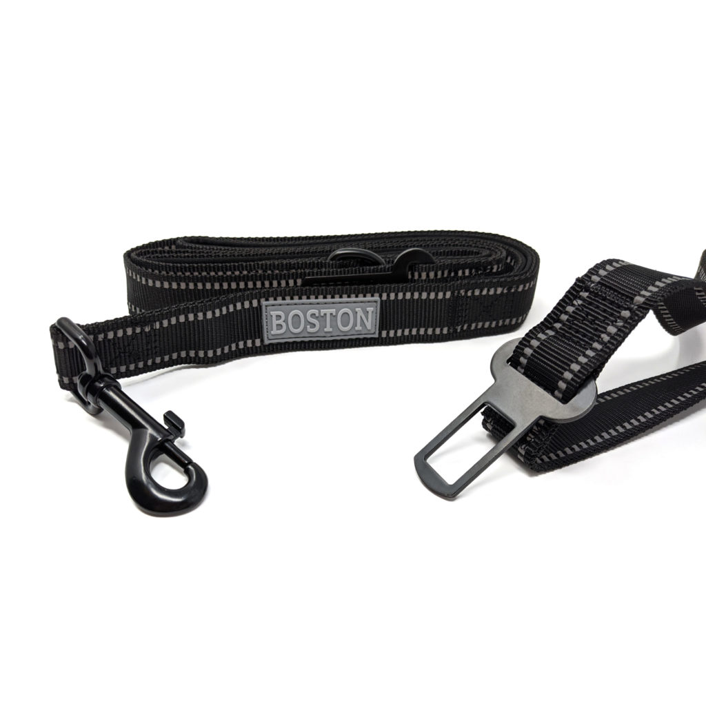 Boston ONE Leash