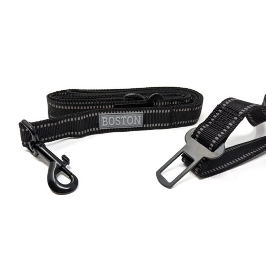 Boston ONE Leash