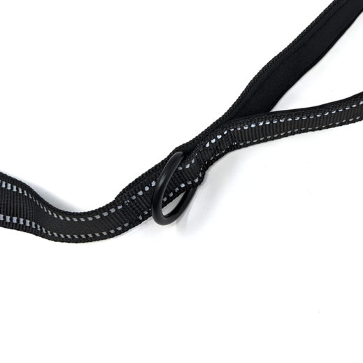 Boston ONE Leash