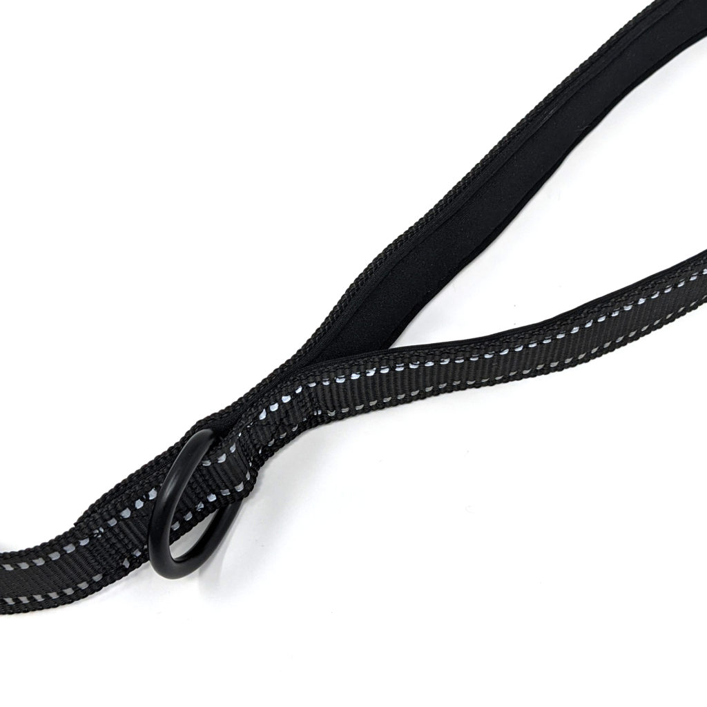 Boston ONE Leash