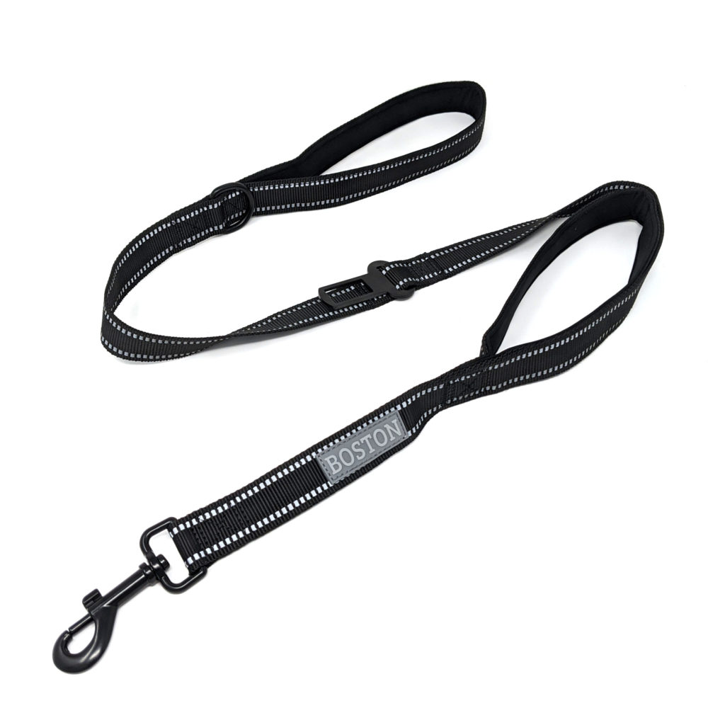 Boston ONE Leash