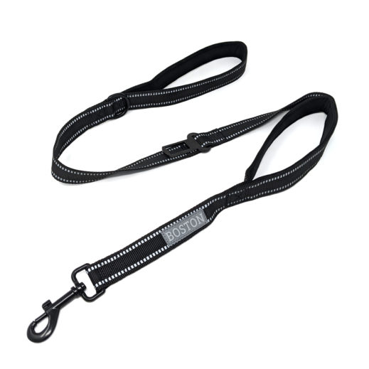 Boston ONE Leash
