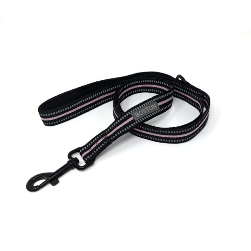 Boston Pet Standard Leash in Black & Pink