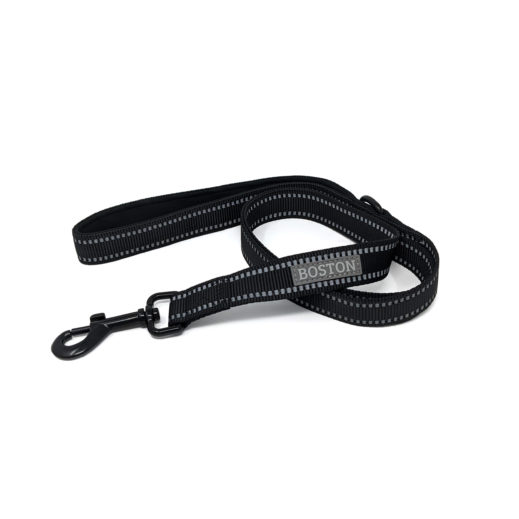 Boston Pet Standard Leash in Black