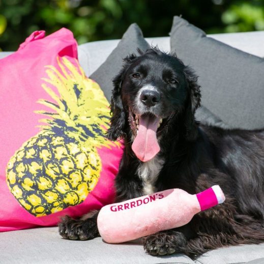 Grrrdon's Pink Gin Bottle