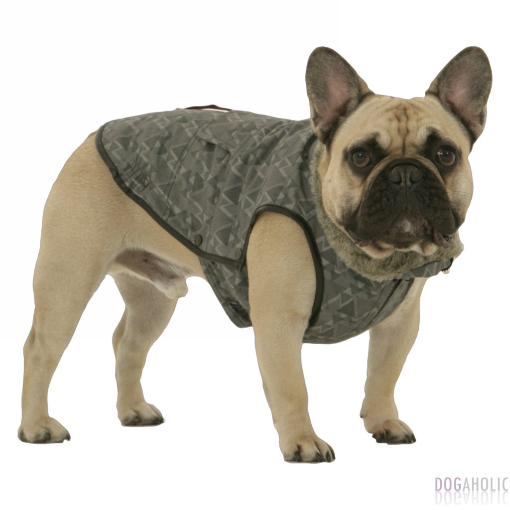 Dogissimo Milan Coat for French Bulldogs