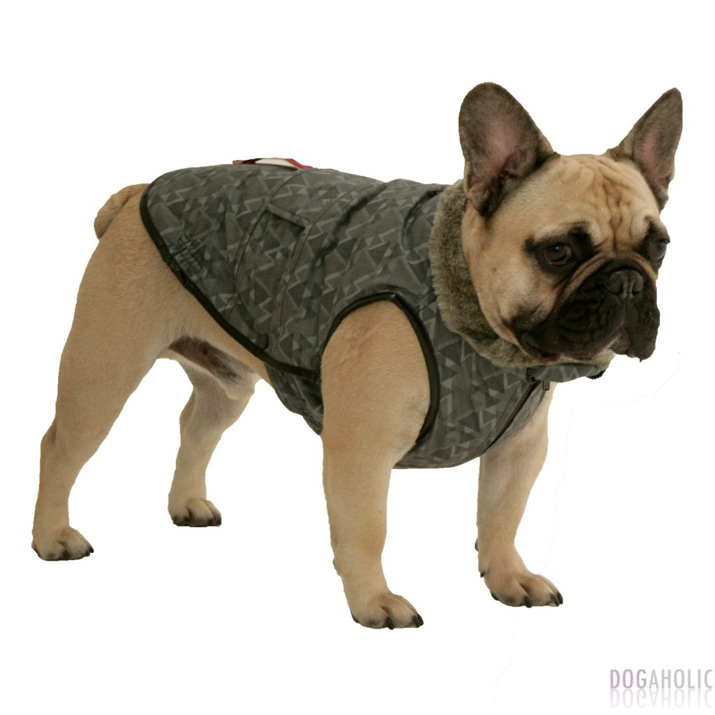 Dogissimo Milan Coat for French Bulldogs
