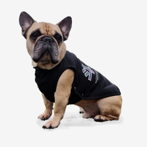 斗牛犬 Sweater for French Bulldogs